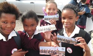 Okkie Smuts stap vir Pikkewyne